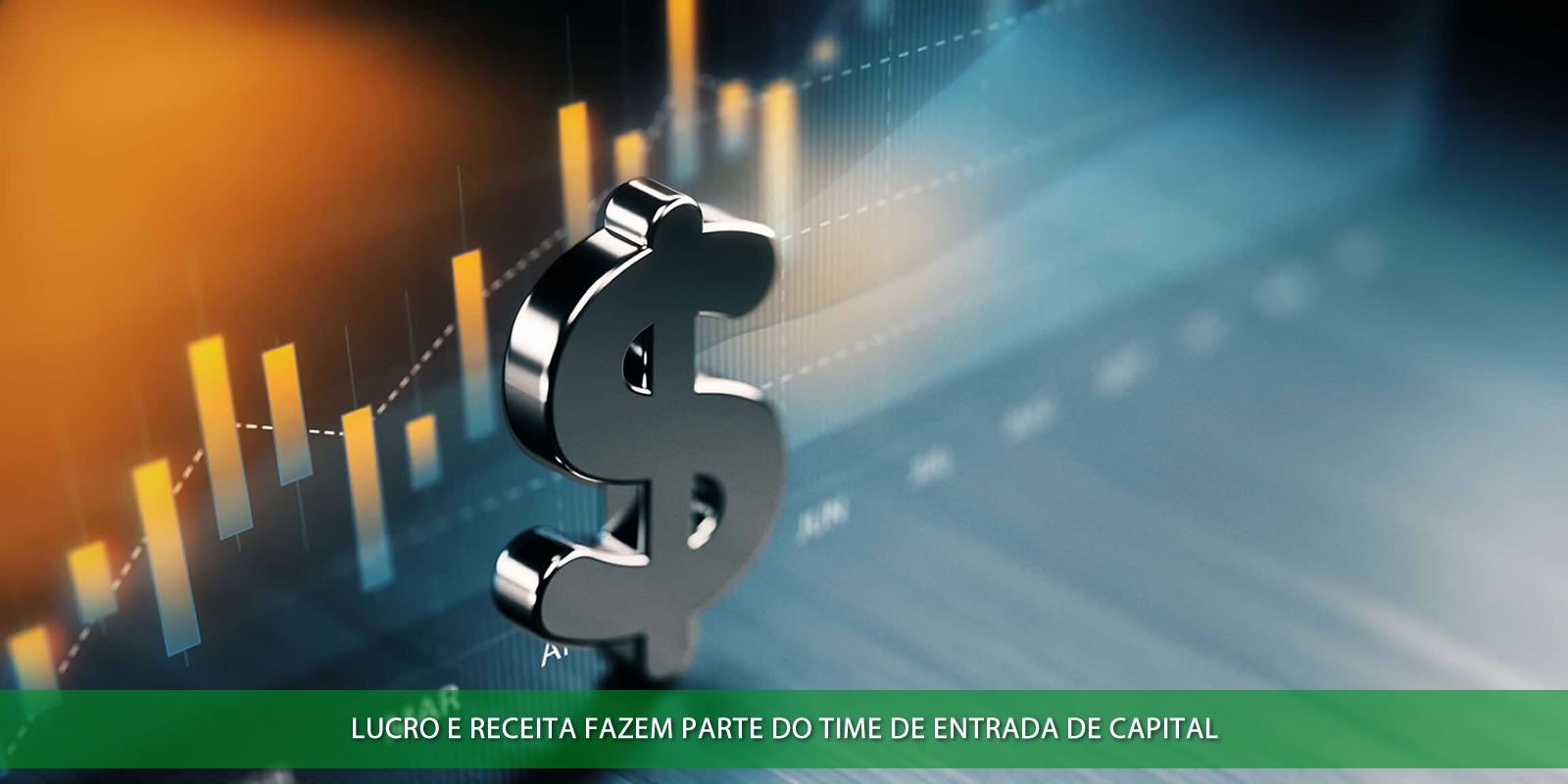 Figura 2 - LUCRO E RECEITA. AS DIFERENÇAS FUNDAMENTAIS ENTRE OS ATIVOS DE SUA EMPRESA